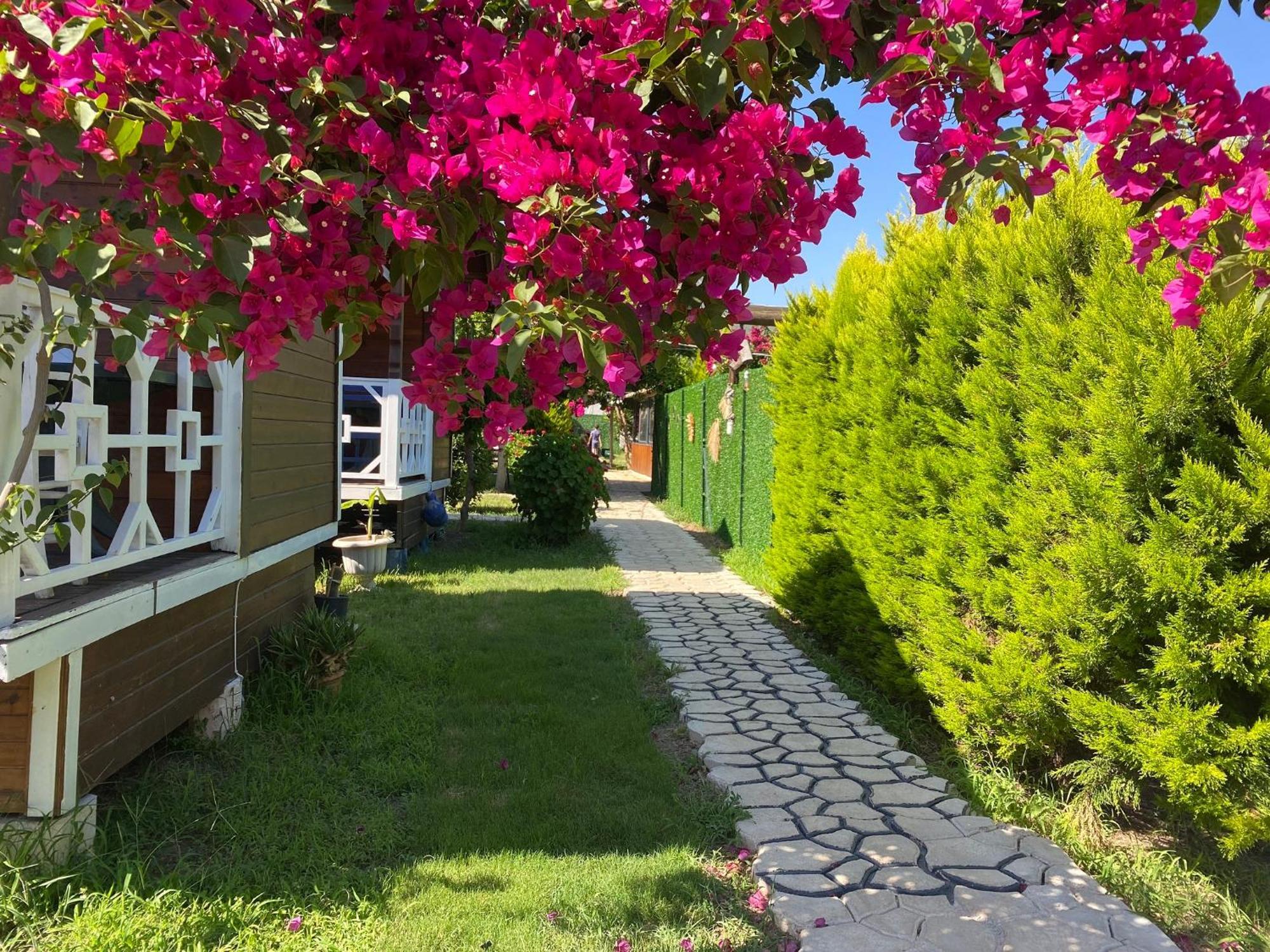 Karaoez Ada Bungalows & Villa Pokoj fotografie